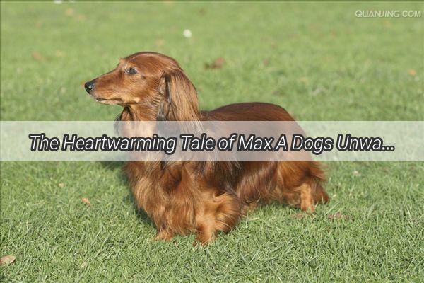 The Heartwarming Tale of Max A Dogs Unwavering Loyalty and a Familys Heartfelt Pursuit